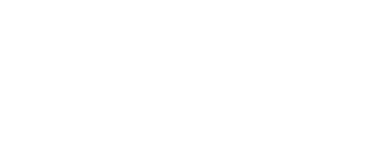 Black Bear Solution